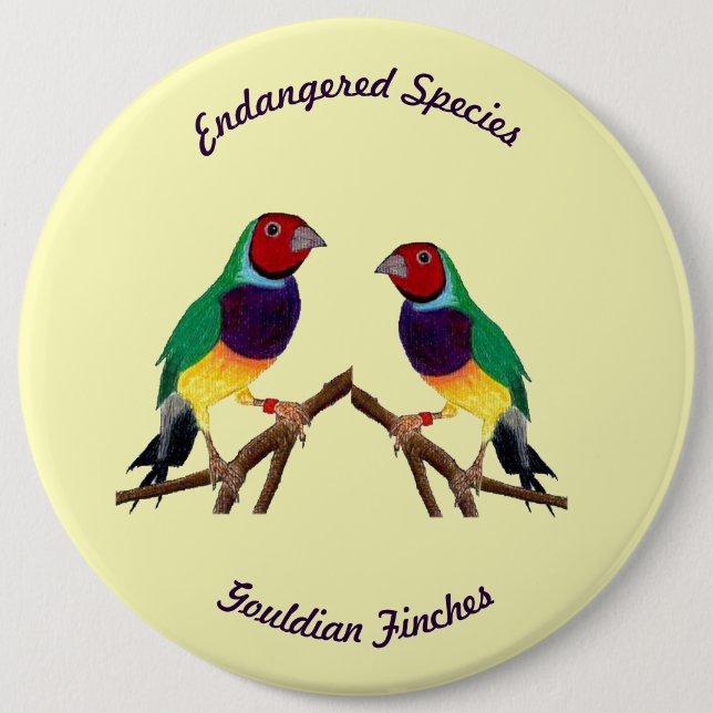 ~ Gouldian Finch ~ Original Art ~ Button (Front)