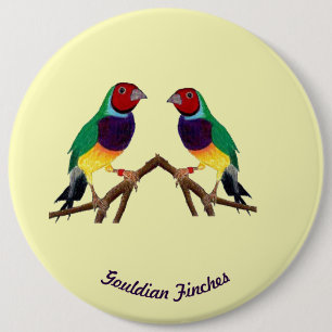 ~ Gouldian Finch ~ Personalized ~ Button