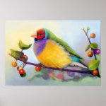 Gouldian Finch Realistic Painting Poster