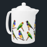 Gouldian Finches Teapot<br><div class="desc">Original fine art design of different colorful Gouldian finches by artist Carolyn McFann of Two Purring Cats Studio printed on a quality porcelain teapot for finch fans.
See a few of our products below (click to go to that product) and visit our very artistic stores at:</div>