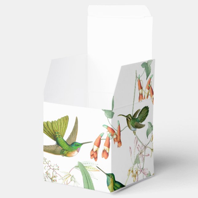 Goulds' Hummingbirds Favor Box (Opened)