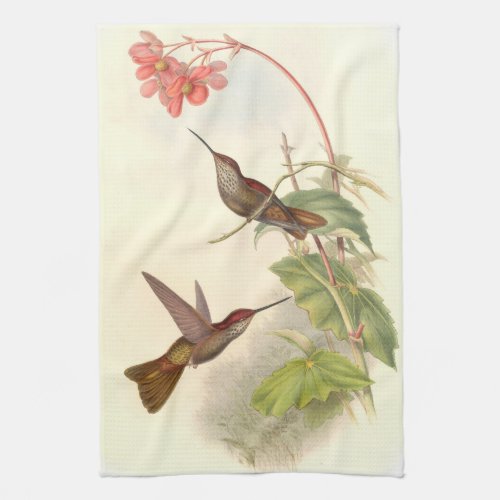 Goulds Hummingbirds Kitchen Towels