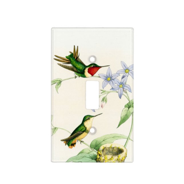 Goulds' Hummingbirds Light Switch Cover (Front)