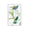 Goulds Hummingbirds Light Switch Cover
