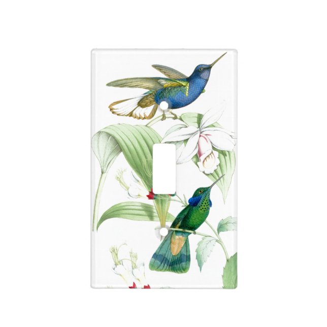 Goulds Hummingbirds Light Switch Cover (Front)