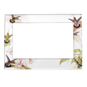 Goulds' Hummingbirds Magnetic Frame