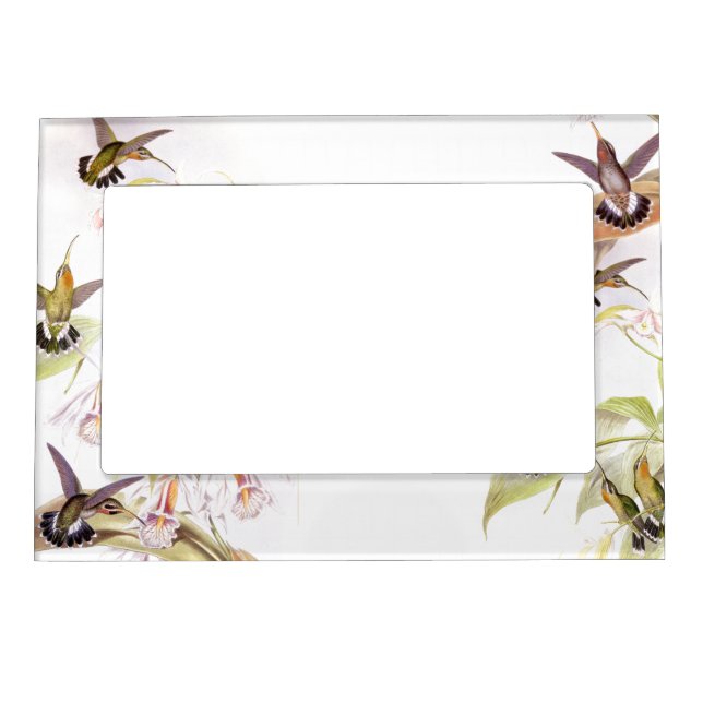 Goulds' Hummingbirds Magnetic Frame (Front)