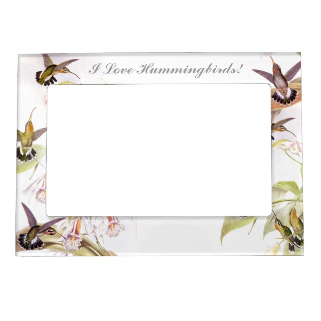 Goulds' Hummingbirds Magnetic Frame (Front)