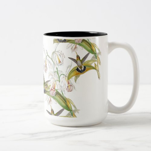 Goulds Hummingbirds Mug