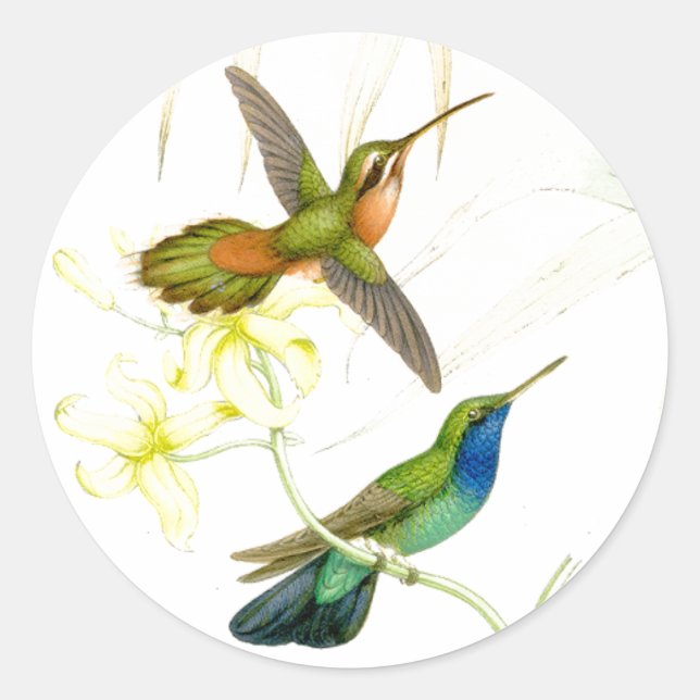Goulds' Hummingbirds Stickers (Front)