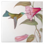 Goulds' Hummingbirds Tile<br><div class="desc">Wonderful vintage botanical fine art of exotic tropical Hummingbird Birds and habitat Flowers is on this Tile.</div>