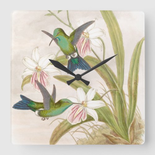 Goulds Hummingbirds Wall Clock