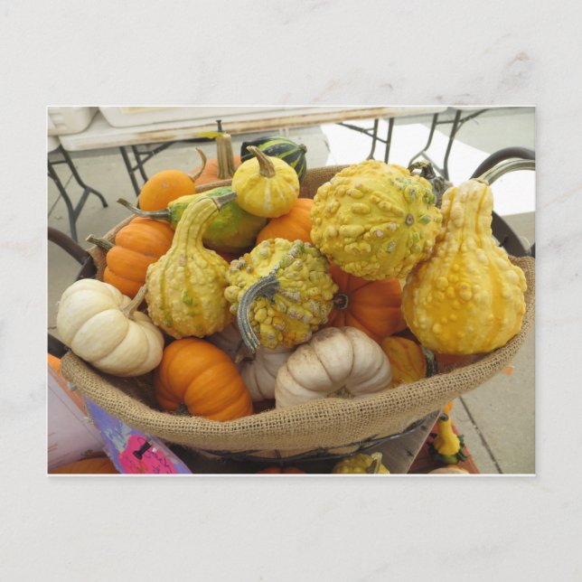 Gourd Basket Postcard (Front)
