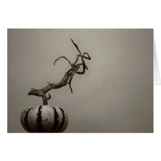 "gourd" by Larry Coressel Cards (Front Horizontal)