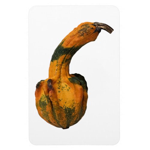 Gourd Photo Magnet