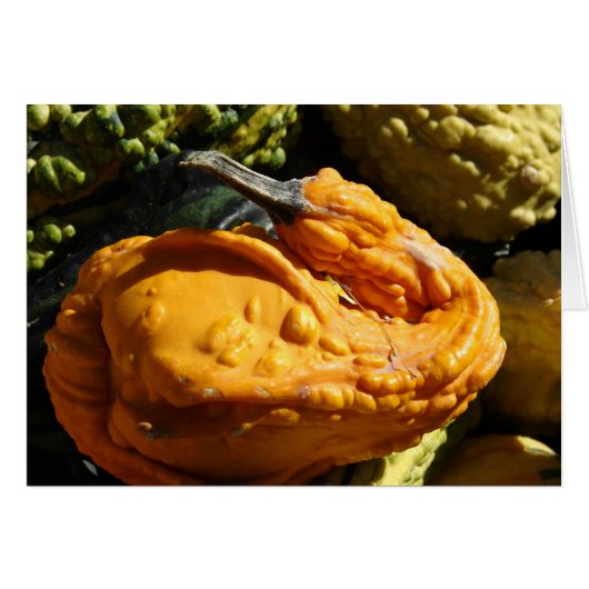 Gourd That Looks Like A Duck Cards (Front Horizontal)