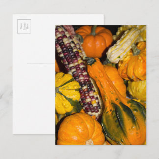 Gourds and Corn Fall Food Photography Postcard