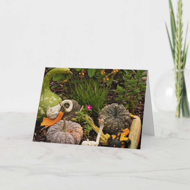 Gourds and Pumpkin Digital Art Card (Front)