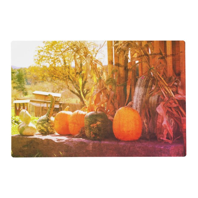 Gourds And Pumpkins Farm Stand Abstract   Placemat (Front)