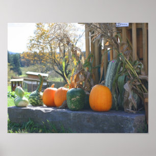 Gourds And Pumpkins Farm Stand Fall Poster