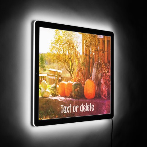 Gourds And Pumpkins Farm Stand Personalized LED Sign