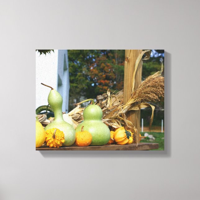 Gourds Cornstalks Farm Stand Autumn Canvas Print (Front)