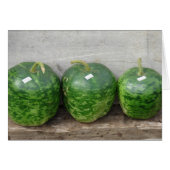 Gourds in A Row (Front Horizontal)