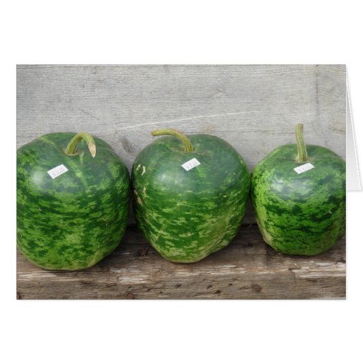 Gourds in A Row (Front Horizontal)