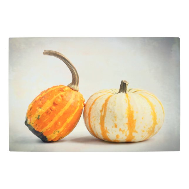 Gourds Metal Wall Art (Front)