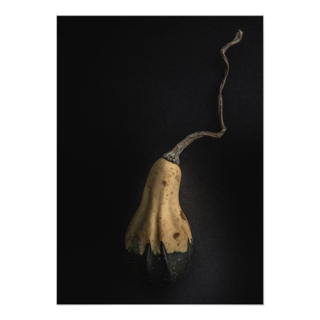 Gourds No 12 Color Version Photo Print (Front)