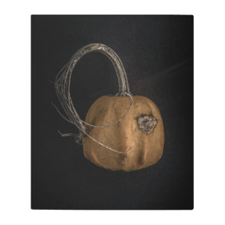 Gourds No 13 Color Version Metal Print