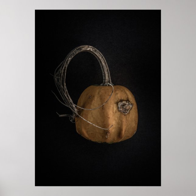 Gourds No 13 Color Version Poster (Front)