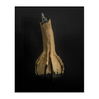 Gourds No 5 Color Version Acrylic Print