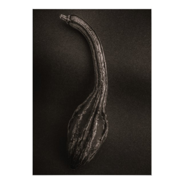 Gourds No 9 Photo Print (Front)