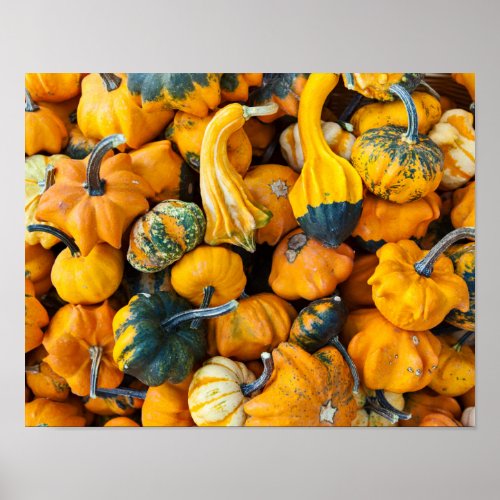 Gourds Poster