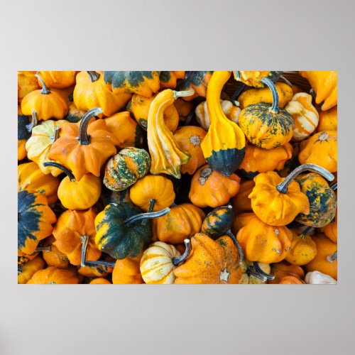 Gourds Poster