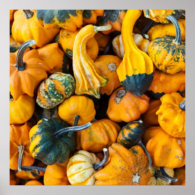Gourds Poster (Front)