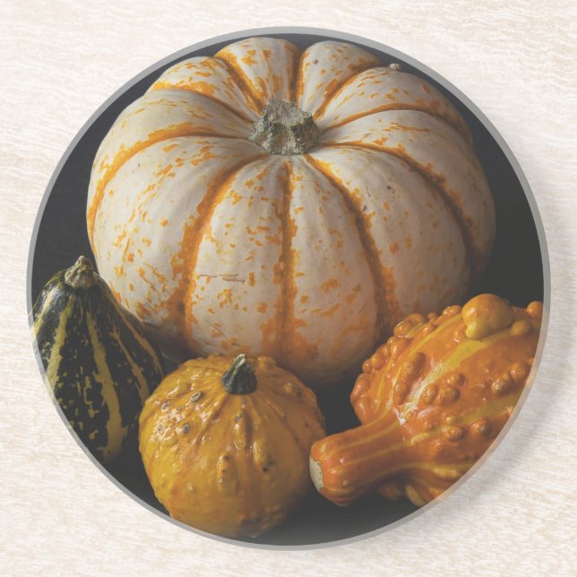 Gourds & Pumpkin Vignette Coaster (Front)