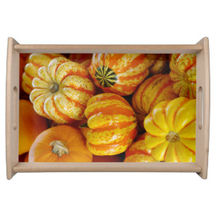 Gourds Pumpkins Fall Autumn Rustic Country Serving Tray