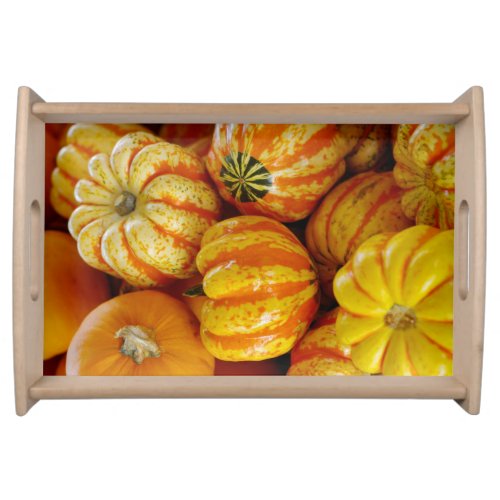 Gourds Pumpkins Fall Autumn Rustic Country Serving Tray