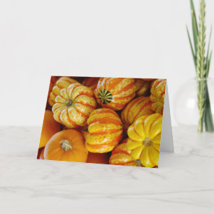 Gourds Pumpkins Fall Autumn Thanksgiving Card