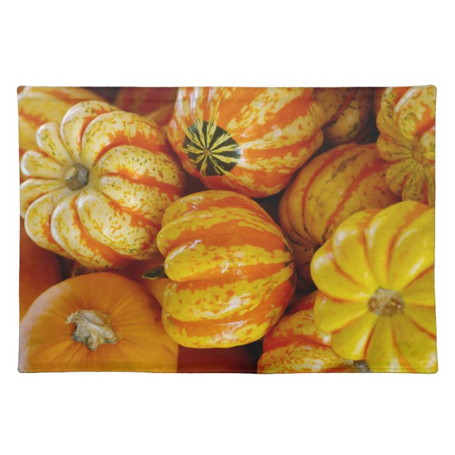 Gourds Pumpkins Fall Autumn Thanksgiving Cloth Placemat (Front)
