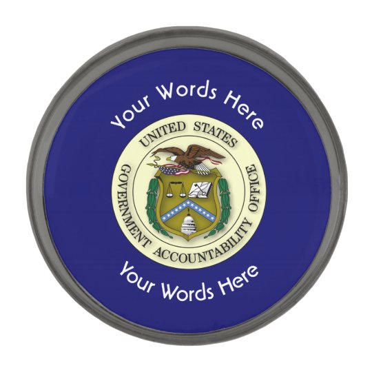 Government Accountability Office GAO Gunmetal Finish Lapel Pin