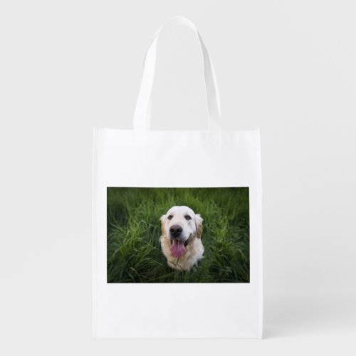 gr in grass grocery bag