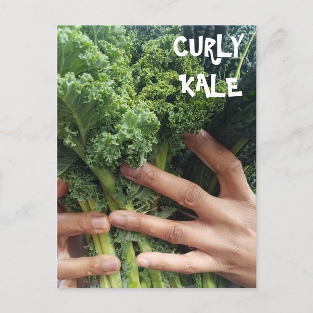 Grab a Bunch of Curly Kale Postcard (Front)