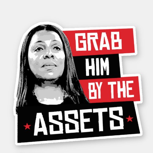 Grab him by the assets Letitia James  Sticker