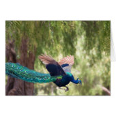 Grace (Front Horizontal)