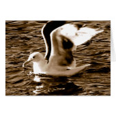 Grace_ (Front Horizontal)