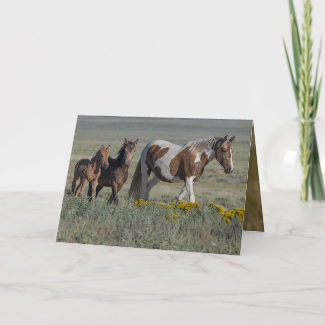Grace and Her Two Fillies Wild Horse Greeting Card (Front)