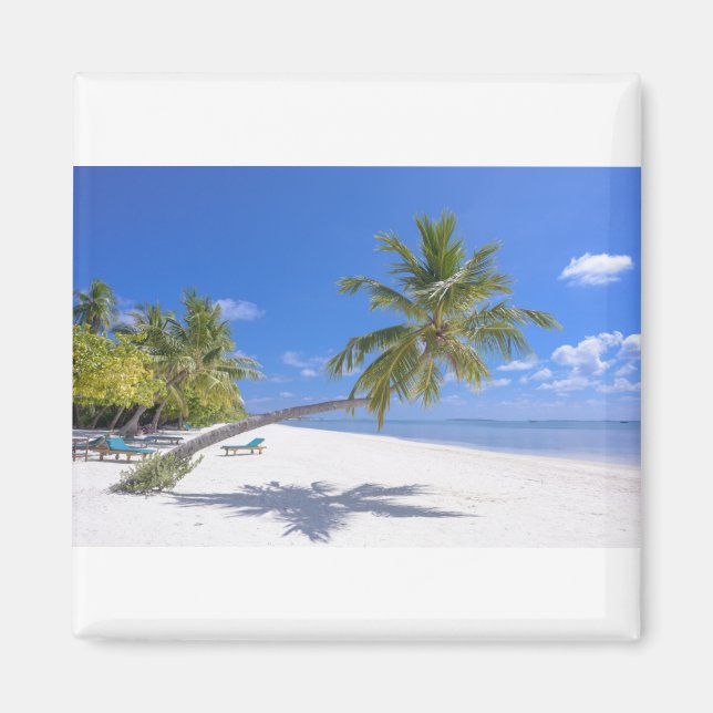 Grace Bay, Turks & Caicos Sand & Blue Ocean Waves Magnet (Front)